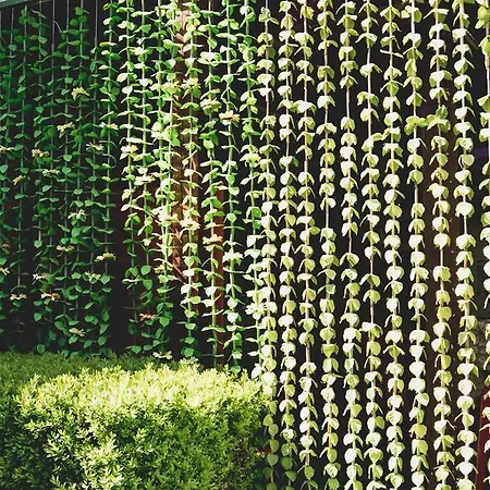 Georgiani Guest house