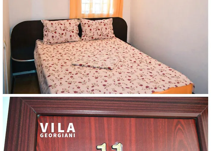 Guest house Georgiani