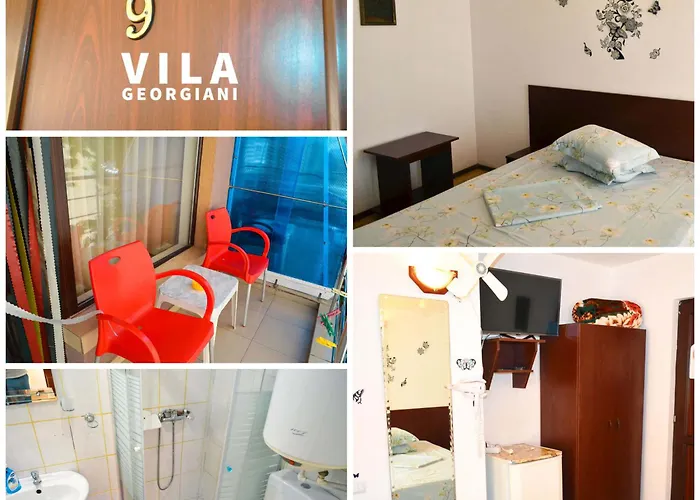 Guest house Georgiani Costinesti