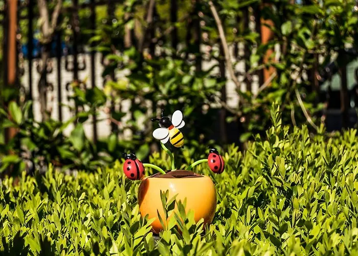 Georgiani 3* Costinesti