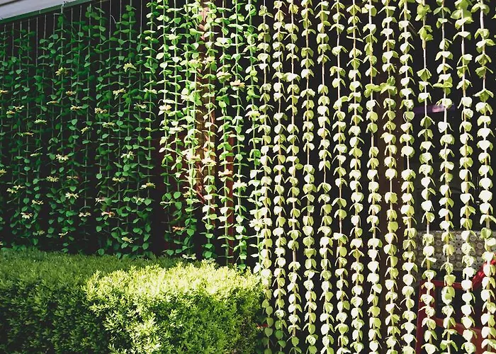 Georgiani Guest house